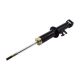 shock-absorber-33506764913-1