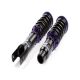 D2 Racing RS Coilovers For BMW 5 Series 1996 - 2003 E39 Excl. Wagon (RWD ONLY)