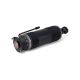 Suspension Strut for Mercedes-Benz SK-2485