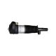 2X Front Left+Right Air Suspension Shock Struts VDC For BMW X5 X6 G05 G06 xDrive