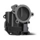throttle-bodies-13547576698-1