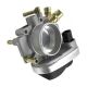 throttle-bodies-55562380-0