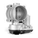throttle-bodies-977-300-1