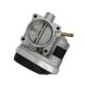 throttle-bodies-A2C52187333-0
