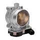 throttle-bodies-S20009-0