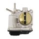 throttle-bodies-S20126-1