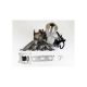 NEW K04-106 F23L Upgraded Billet Turbo For Audi A4 B7 A5 B8 Q5 2.0T FSI BWE/BUL