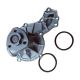 water-pumps-068121005-1