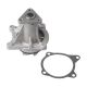 water-pumps-12462265-1