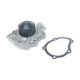 water-pumps-1740060D01-1
