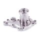 water-pumps-1740082811-1