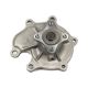 water-pumps-2101030R05-10