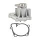 water-pumps-25100-25002-1
