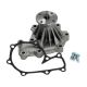 water-pumps-4403300-1