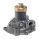 water-pumps-4679303-1