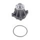 water-pumps-4C3E8501AA-1