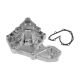 water-pumps-7701466578-1