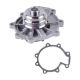 water-pumps-XS2Z8501BC-1