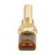water-temperature-sensor-7701053991-1